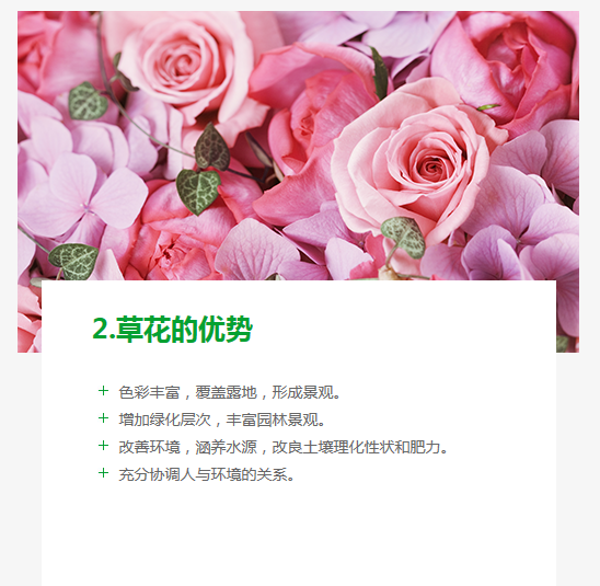 長沙東日園林工程有限公司,長沙園林綠化工程,長沙綠化養(yǎng)護管理 長沙東日園林工程有限公司,長沙園林綠化工程,長沙綠化養(yǎng)護管理