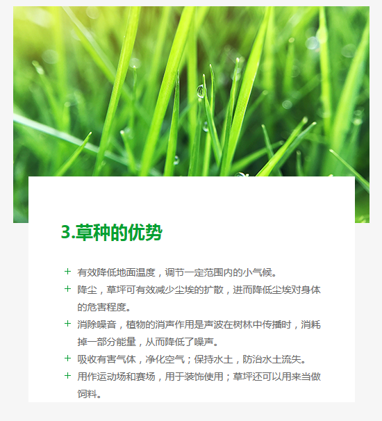 長沙東日園林工程有限公司,長沙園林綠化工程,長沙綠化養(yǎng)護管理 長沙東日園林工程有限公司,長沙園林綠化工程,長沙綠化養(yǎng)護管理